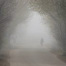 When The Autumn Meets Winter